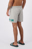 COMMANDER SWIMSHORTS | Grau