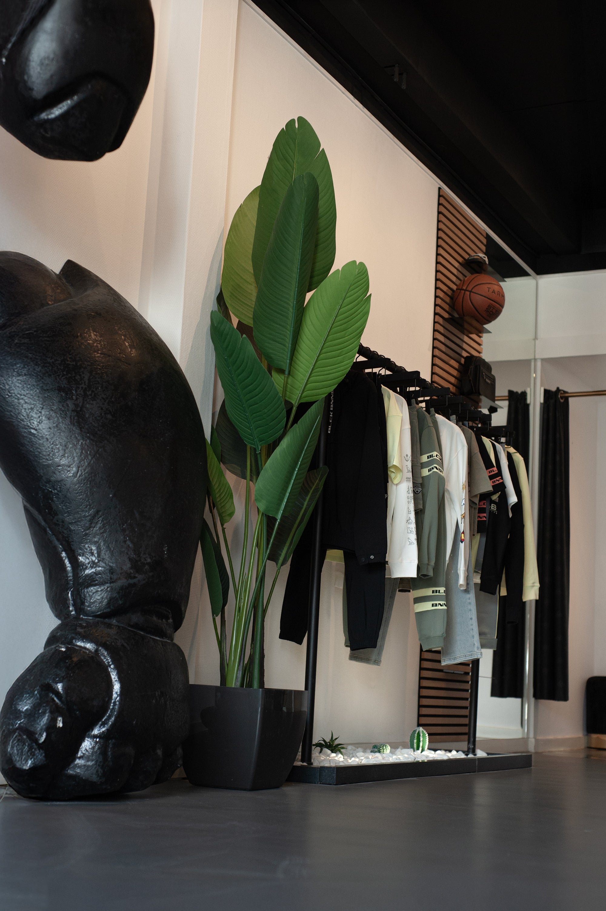 blackbananas-com-cdn-shop-files-bb-hq-thehague_-width-x-jpg-v-1752576381
