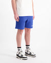 TTD SWEATSHORTS | Blau